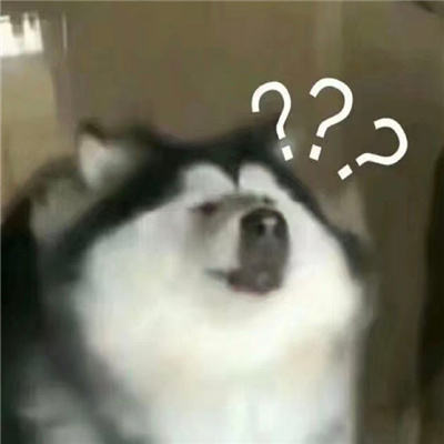 2024问号小狗表情包合集 一定要存图的好用聊天表情