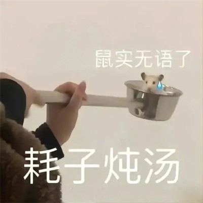 自用发疯有病的表情包 耗子的命也是命