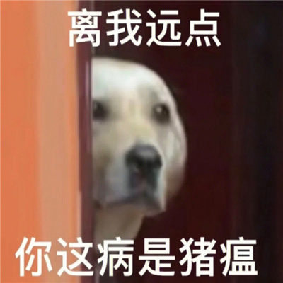 一定要收藏的趣味表情大全 离我远点你这病是猪瘟