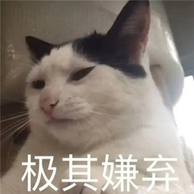 怼人必备的表情大全 内向只敢用表情包怼人