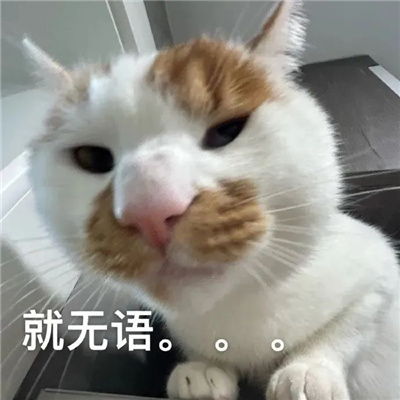 怼人必备的表情大全 内向只敢用表情包怼人