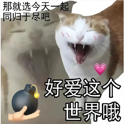 精神状态良好表情大全 发疯状态表情最新合集