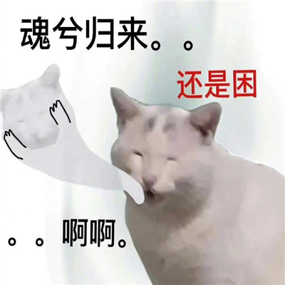 白底搞怪且有病的表情合集 美妙的工作日心情跟屎一样