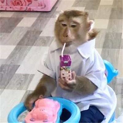 白底搞怪且有病的表情合集 美妙的工作日心情跟屎一样