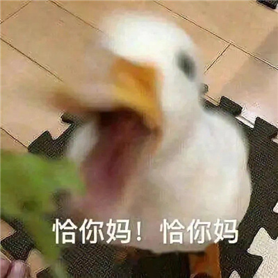 搞笑女必备趣味表情 戒爱了断情绝爱