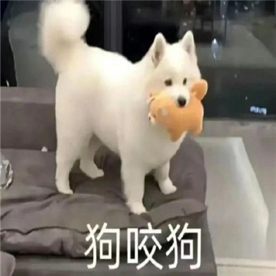 搞笑女必备趣味表情 戒爱了断情绝爱