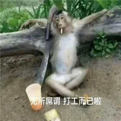搞笑女必备趣味表情 戒爱了断情绝爱