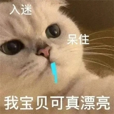 沙雕好用的特色表情 我不介意以身相许