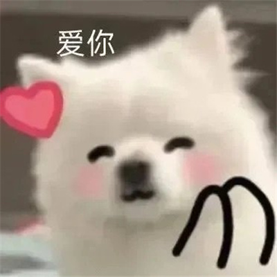 沙雕好用的特色表情 我不介意以身相许