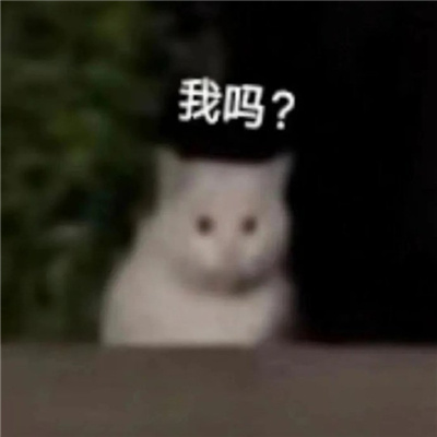 沙雕好用的特色表情 我不介意以身相许