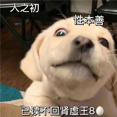 超爱用系列的宝藏表情合集 来啦来啦是表情包哦