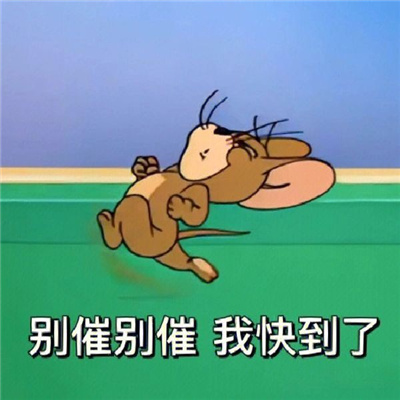 超有笑点的表情很特别 2024新版独特表情合集