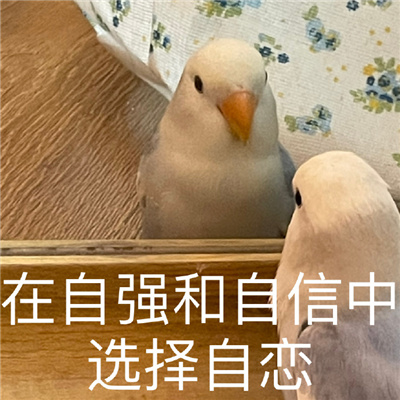 超有笑点的表情很特别 2024新版独特表情合集