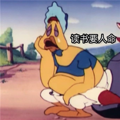 超有笑点的表情很特别 2024新版独特表情合集