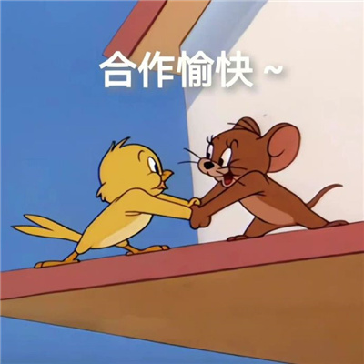 超有笑点的表情很特别 2024新版独特表情合集