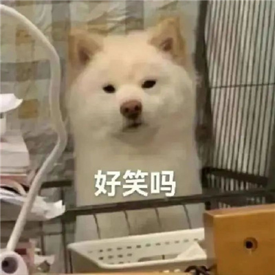 很炸裂的沙雕表情新版 收获到很多趣味的表情