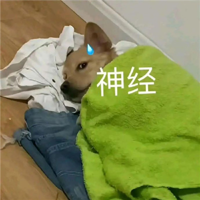 很炸裂的沙雕表情新版 收获到很多趣味的表情