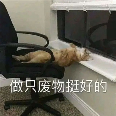 很炸裂的沙雕表情新版 收获到很多趣味的表情