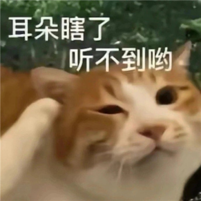 2024表情超级好玩又开心 据我所知我一无所知