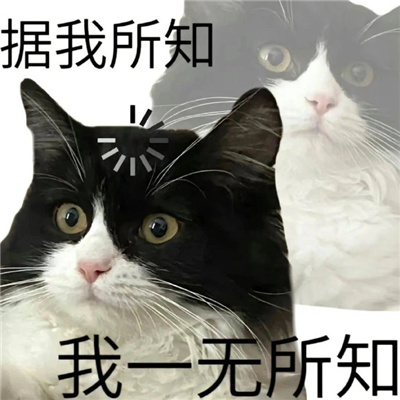 2024表情超级好玩又开心 据我所知我一无所知