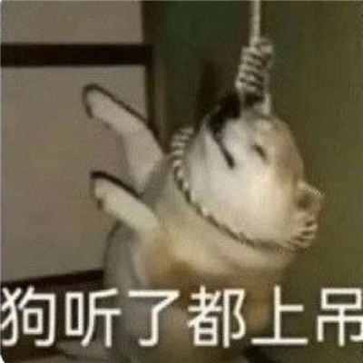 近期热门表情包搞笑 再变富和变瘦中选择了变态