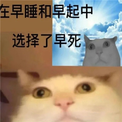 近期热门表情包搞笑 再变富和变瘦中选择了变态