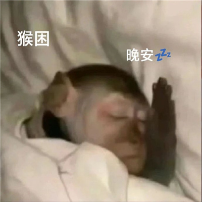 近期热门表情包搞笑 再变富和变瘦中选择了变态