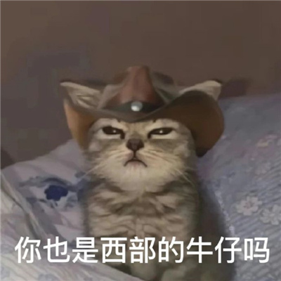 近期热门表情包搞笑 再变富和变瘦中选择了变态