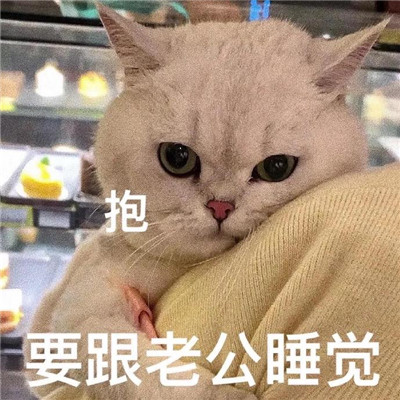 最新超级可爱的萌宠撒娇卖萌表情 可以亲亲一下吗卖萌表情