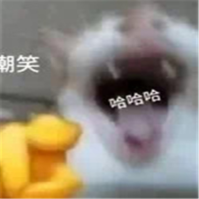 丑猫爆笑嘲讽表情包 好笑又好用的特色表情2024新版合集
