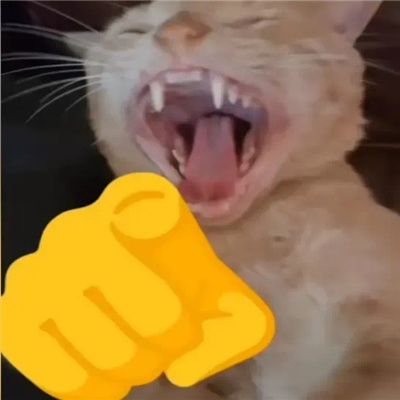 丑猫爆笑嘲讽表情包 好笑又好用的特色表情2024新版合集