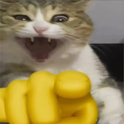 丑猫爆笑嘲讽表情包 好笑又好用的特色表情2024新版合集