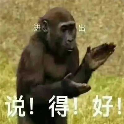 2024离谱表情高清又好笑合集 趣味好玩的表情新版有特色