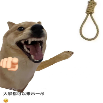 2024发疯小狗表情新版抓狂 沙雕特色表情合集很有感觉