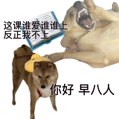 2024发疯小狗表情新版抓狂 沙雕特色表情合集很有感觉