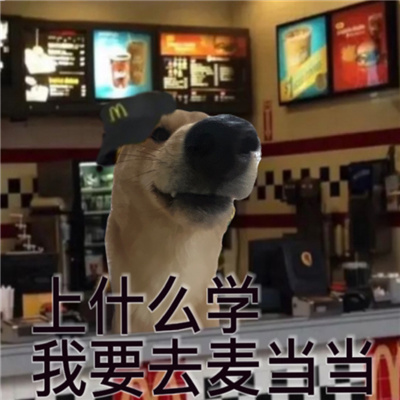 2024发疯小狗表情新版抓狂 沙雕特色表情合集很有感觉