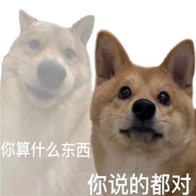 2024发疯小狗表情新版抓狂 沙雕特色表情合集很有感觉