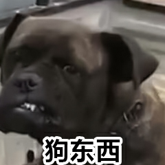 狗东西