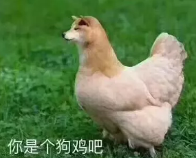 你是个狗鸡吧