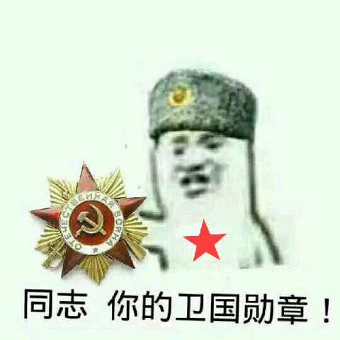 同志你的卫国勋章！