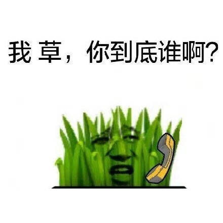 我草，你到底谁啊？