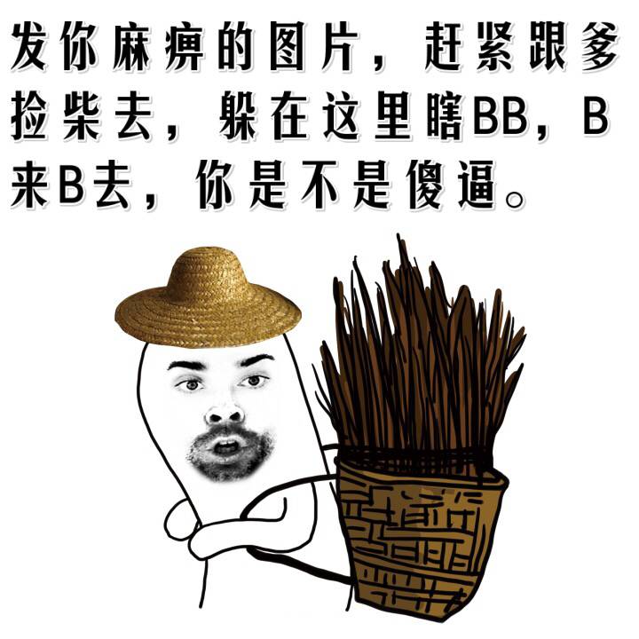 发你麻痹的图片，赶紧跟爹捡柴去，躲在这里瞎BB，B来B去，你是不是傻逼？