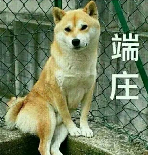 端庄