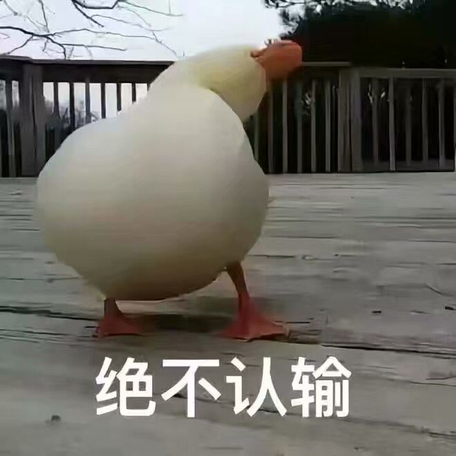 绝不认输