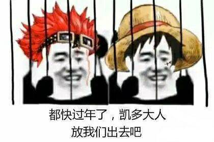 都快过年了，凯多大人放我们出去吧