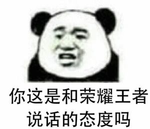 你这是和荣耀王者说话的态度吗