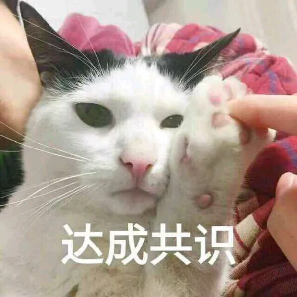 达成共识