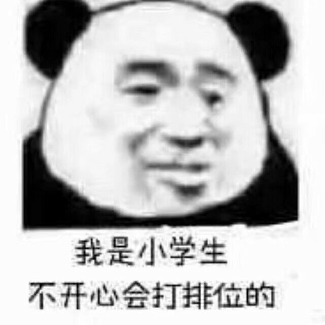 我是小学生，不开心会打排位的