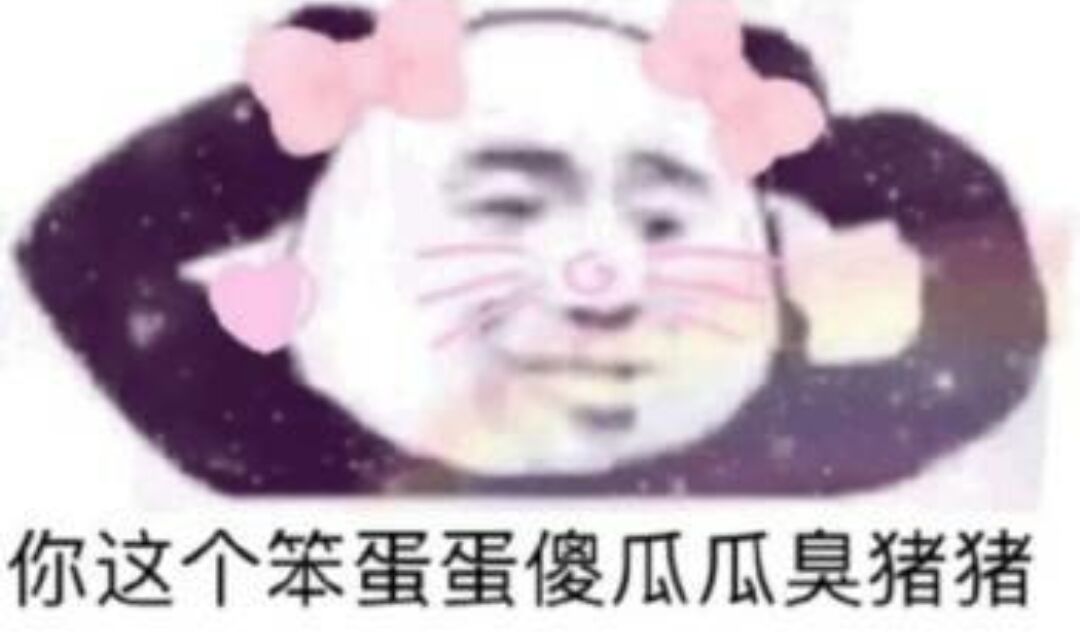 你这个笨蛋蛋傻瓜瓜臭猪猪