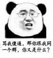 骂我傻逼，那你跟我同一个群，你又是什么？